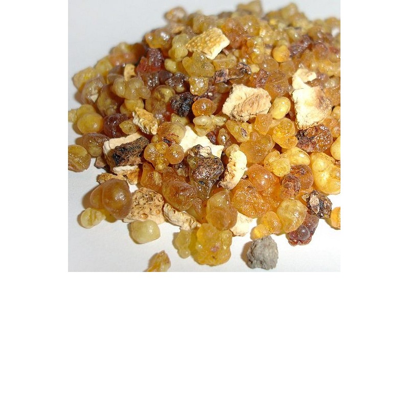 EO Kadilna bosvelija - ekološko