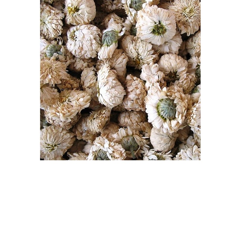 Hidrolat Rimske kamilice Florihana