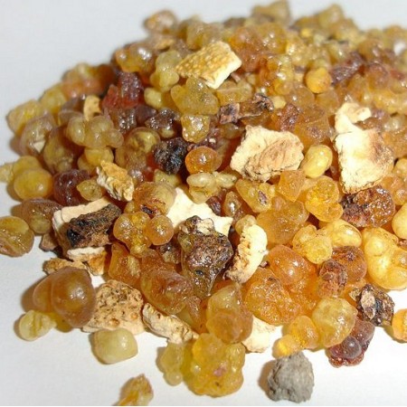 EO Kadilna bosvelija - ekološko