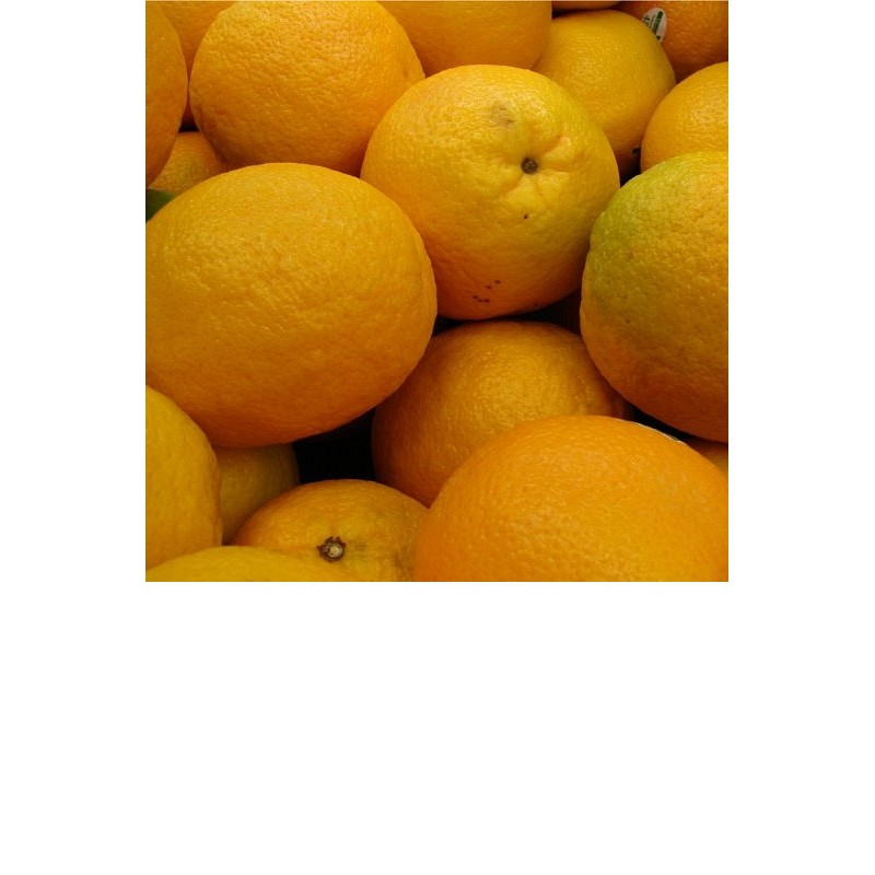 EO Sladka pomaranča - ekološko