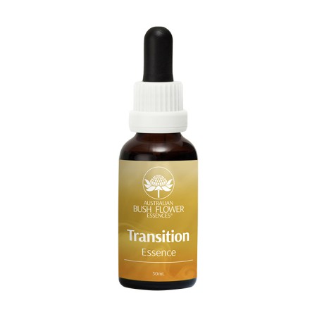 Transition Essence (Prehodi in spremembe)